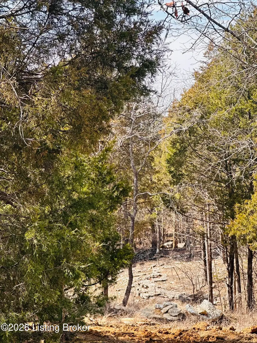 350 Cave Creek Rd, Falls Of Rough, KY 40119 - #2