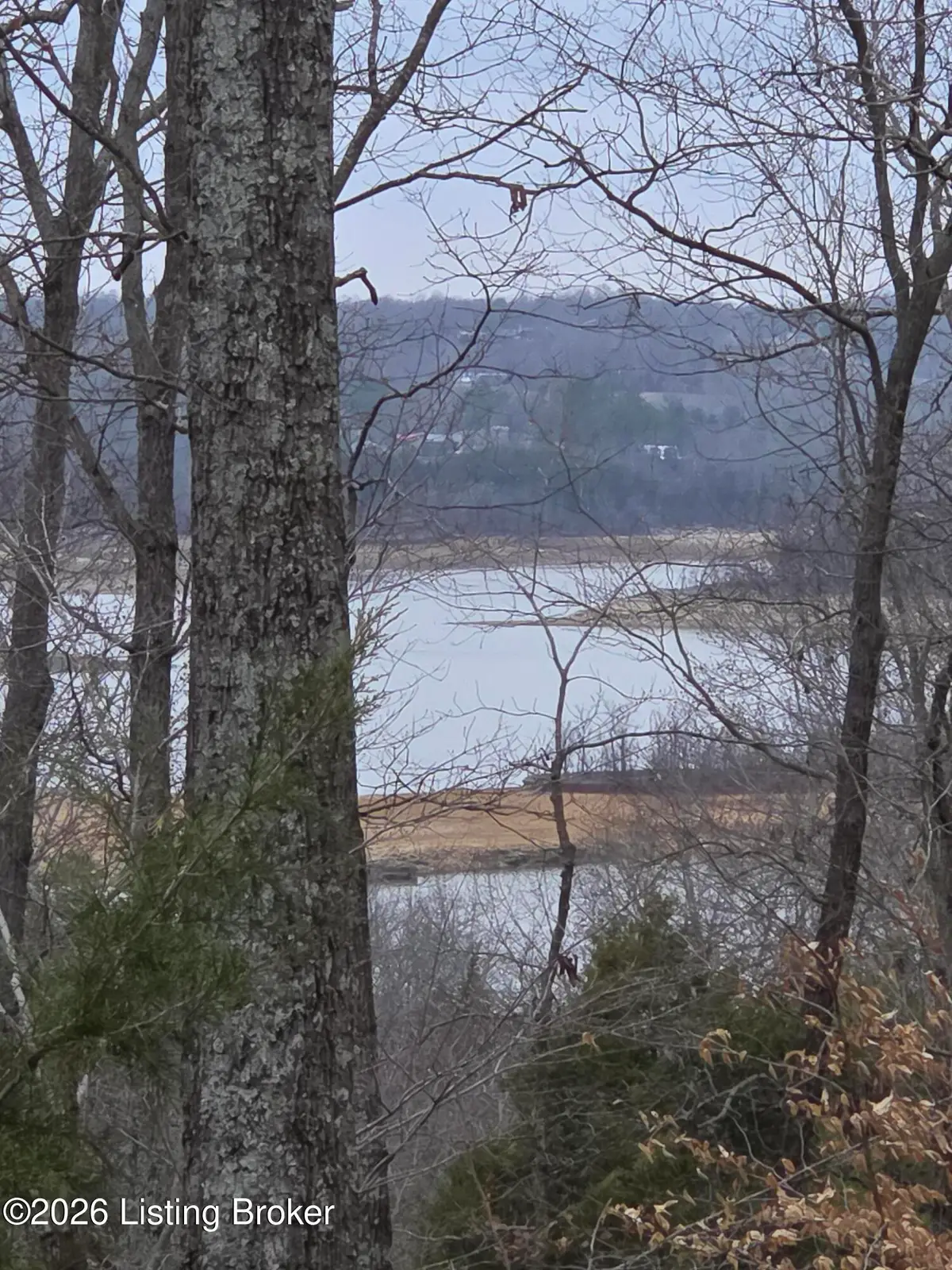 1-23 Hillcrest Dr, Cub Run, KY 42729 - #1