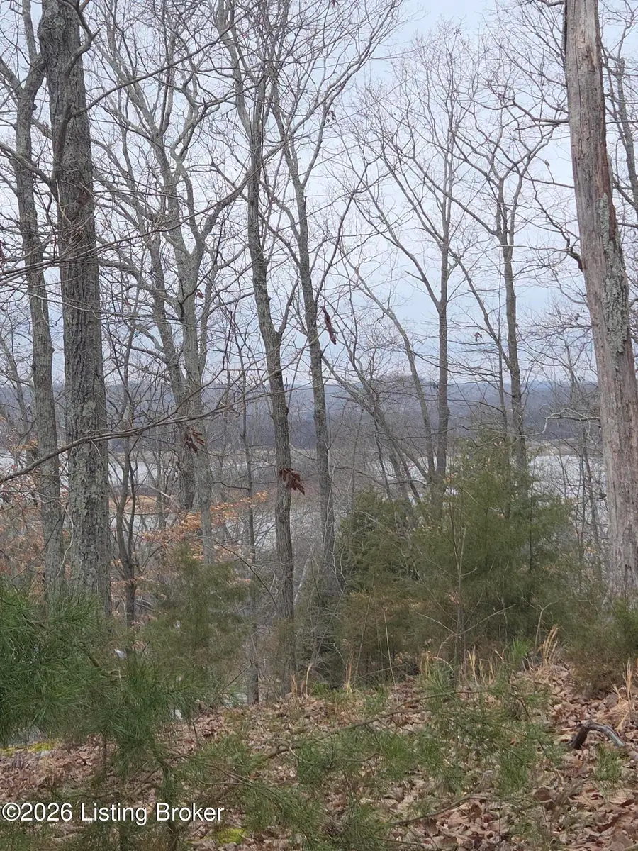 1-23 Hillcrest Dr, Cub Run, KY 42729 - #2