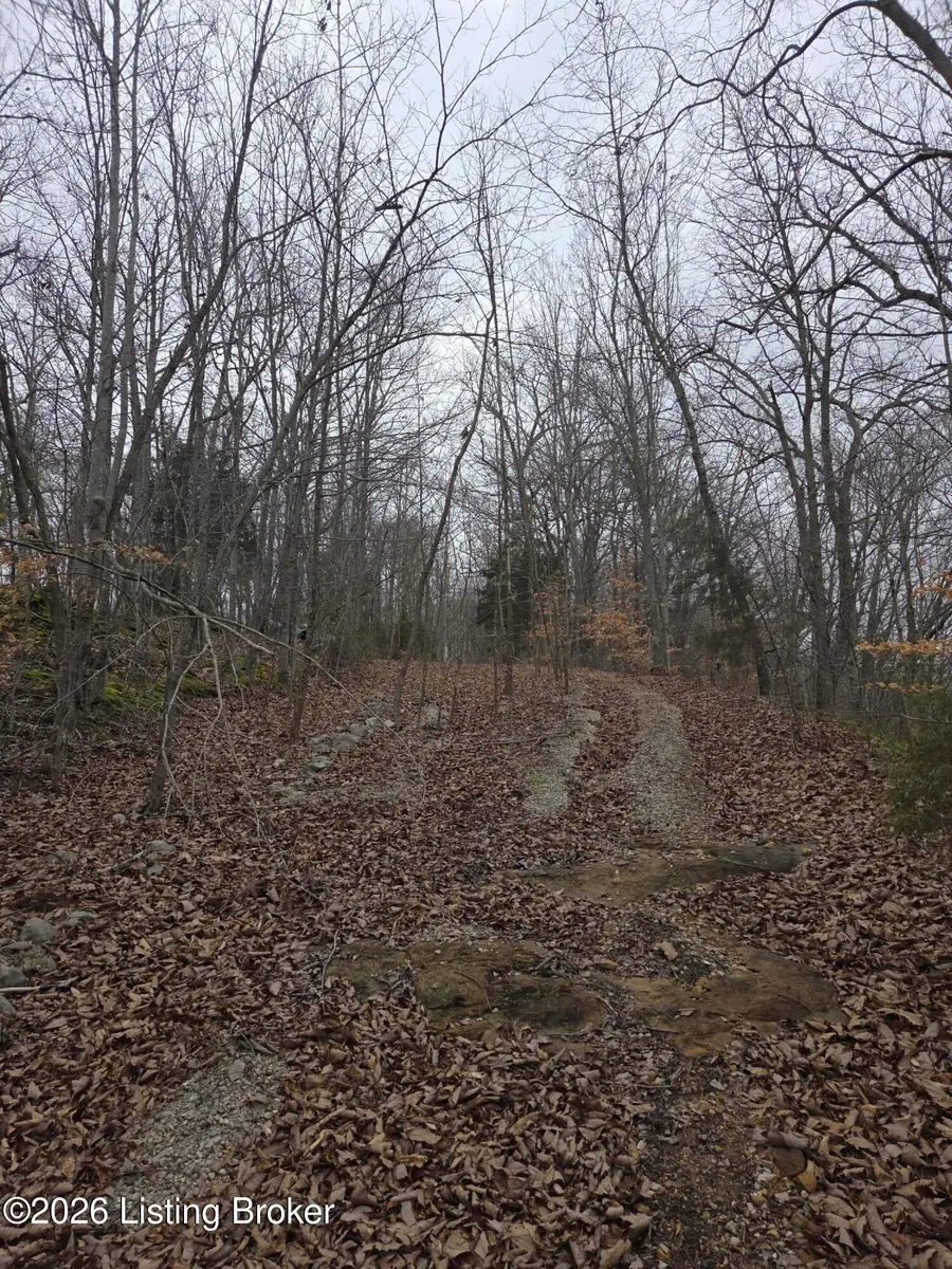 1-23 Hillcrest Dr, Cub Run, KY 42729 - #3