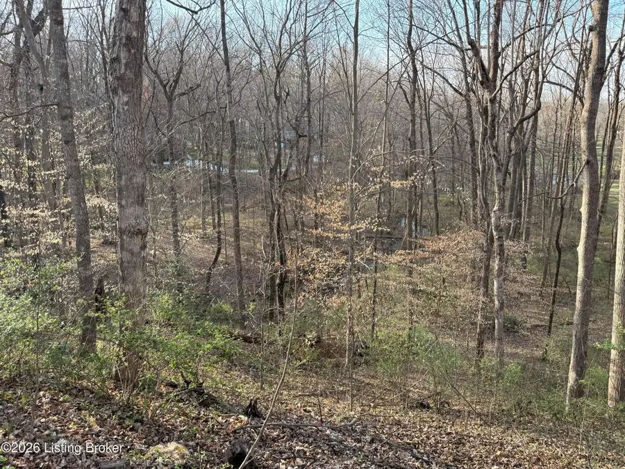 Lot 6 Tanglewood Dr, Glasgow, KY 42141 - #3