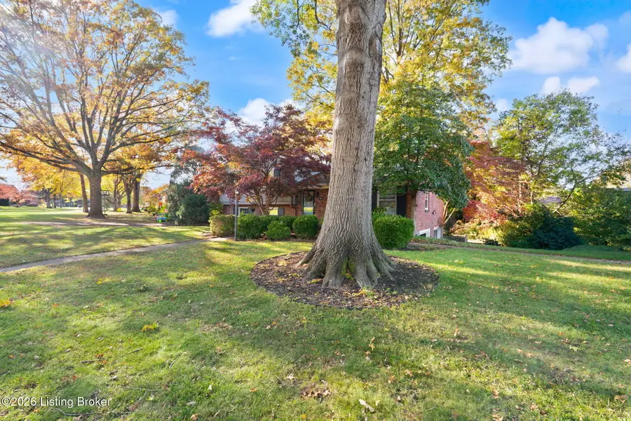 9823 Grenfell Way, Louisville, KY 40242 - #3