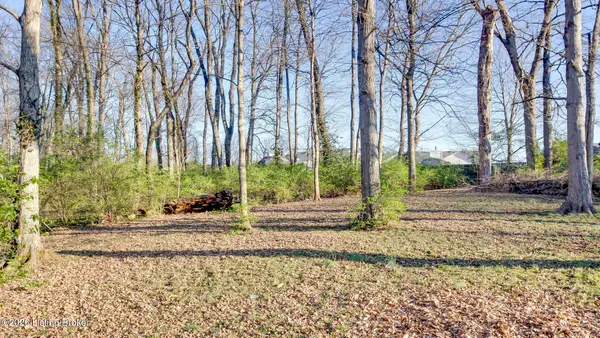 4648 Lor Ann Ave, Louisville, KY 40219