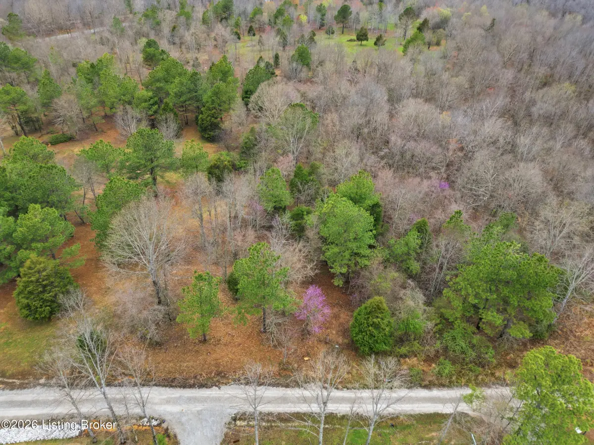 Lot 2 Pine Trail, Leitchfield, KY 42754 - #1