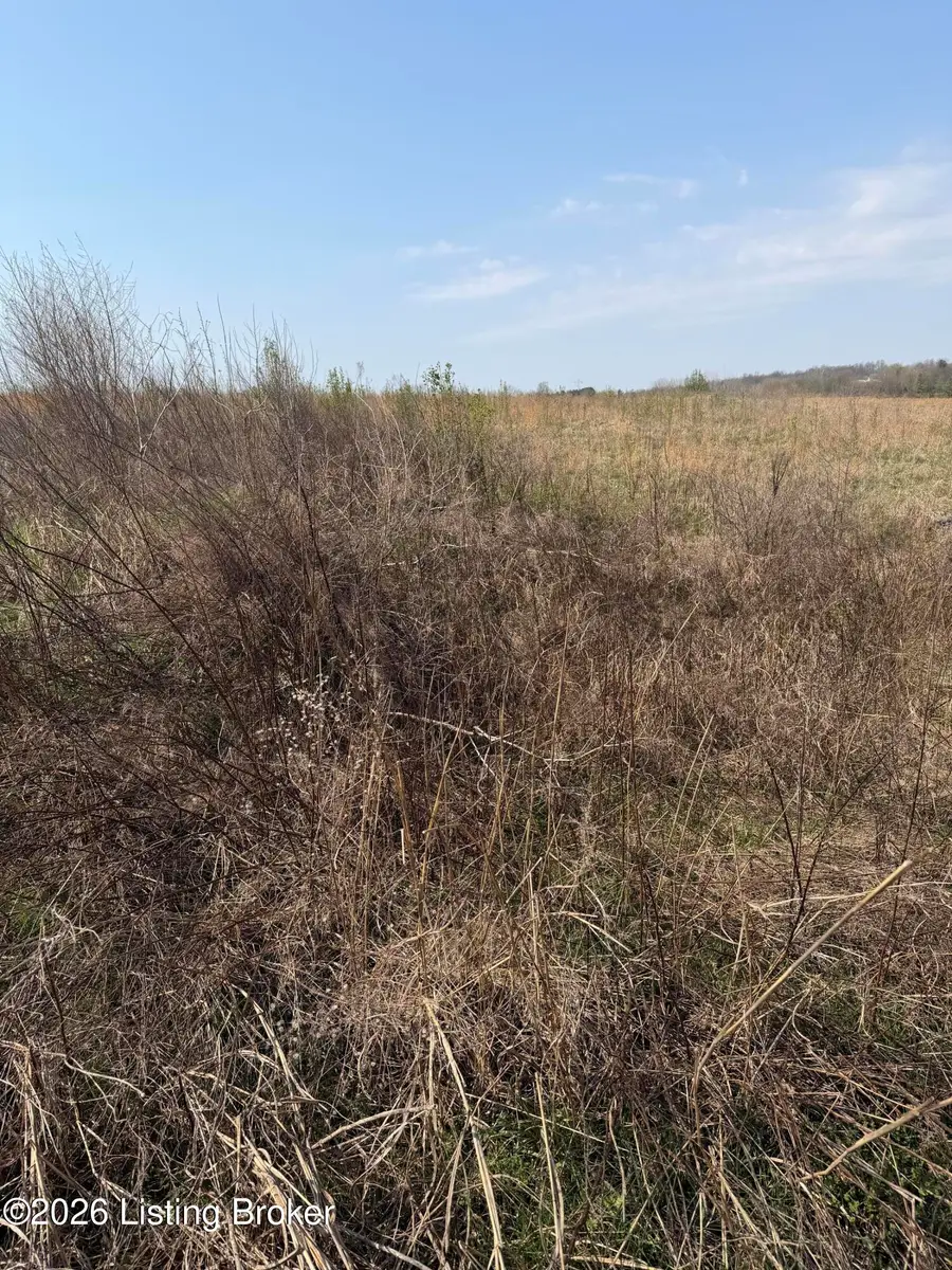 145 Diamond Ct, Vine Grove, KY 40175 - #3