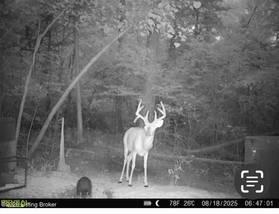 1450 Puncheon Creek Rd, Lawrenceburg, KY 40342 - #2