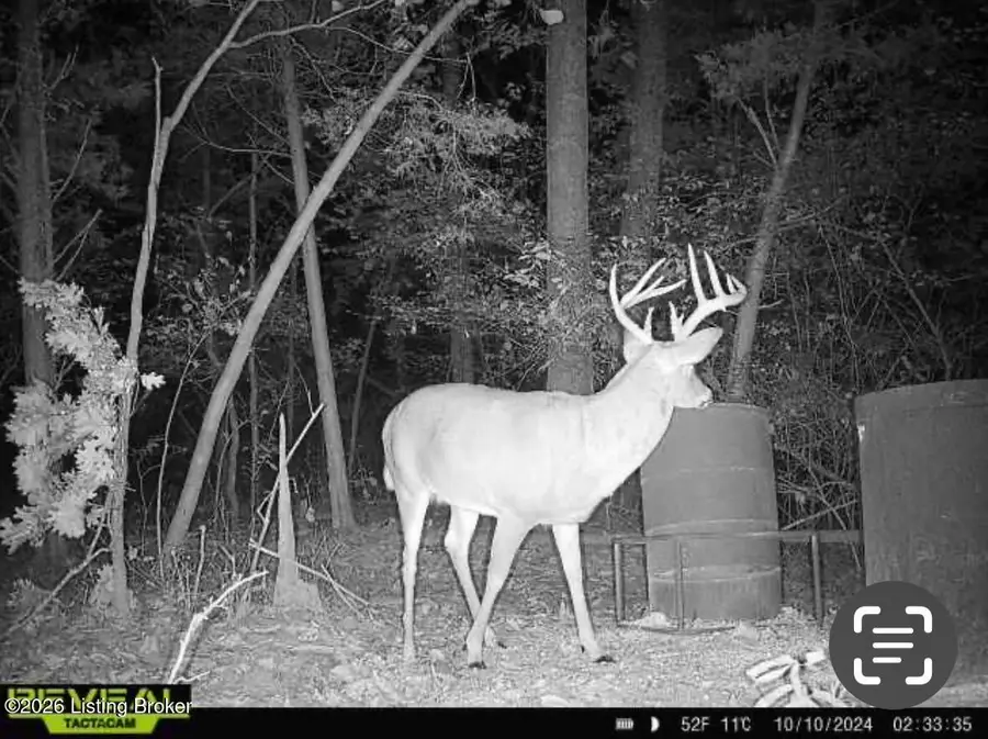 1450 Puncheon Creek Rd, Lawrenceburg, KY 40342 - #3