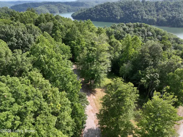 Lot 18 Chestnut Hills Rd, Burkesville, KY 42717