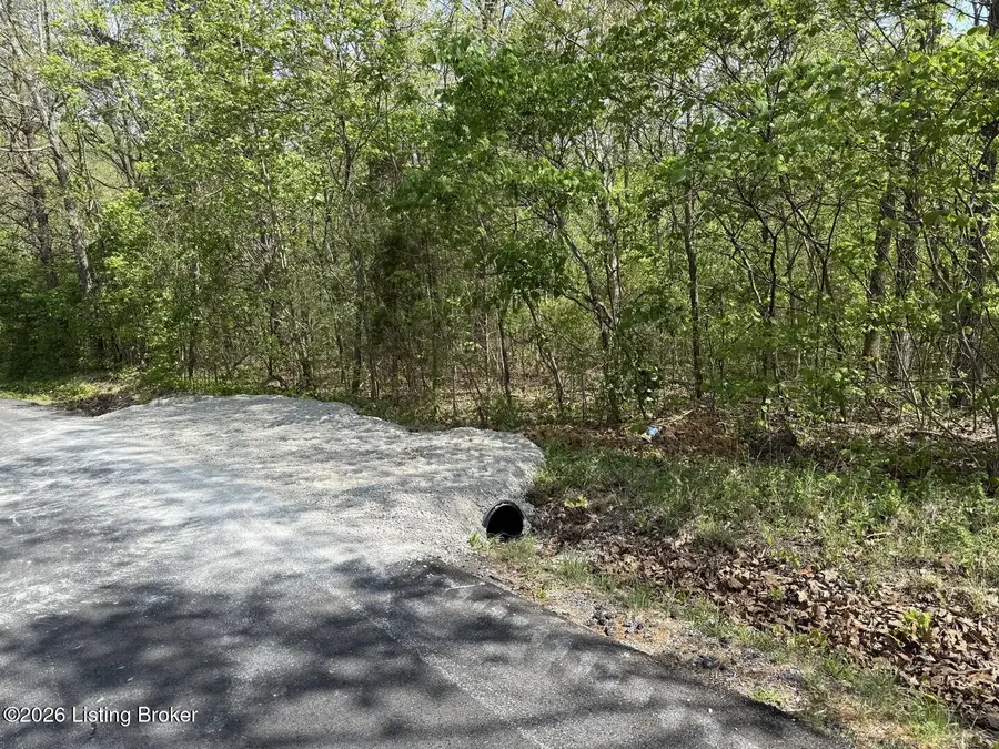 Lot 1 Shores Rd, Falls Of Rough, KY 40119 - #3