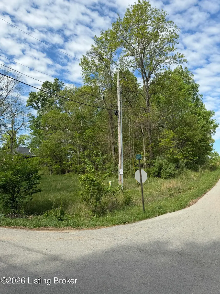 13 Pleasant View Ct, Shepherdsville, KY 40165 - #3