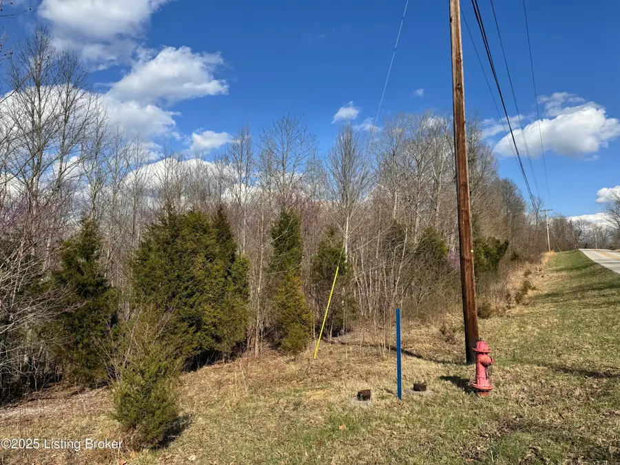 0 Cedar Flats Rd, Battletown, KY 40104 - #3