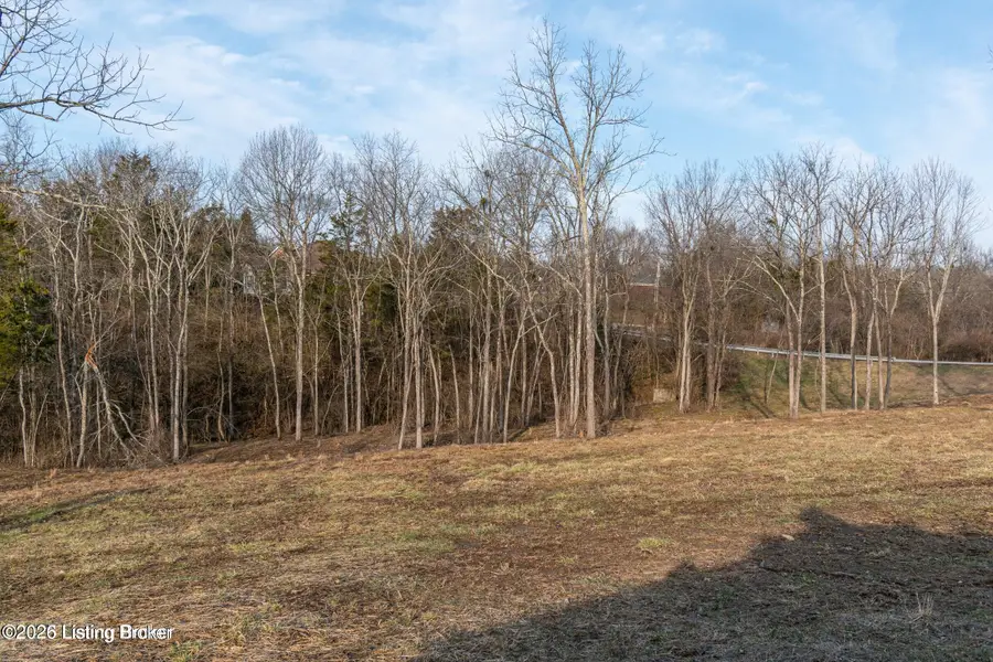 46 Sarah Elizabeth Way, Taylorsville, KY 40071 - #2
