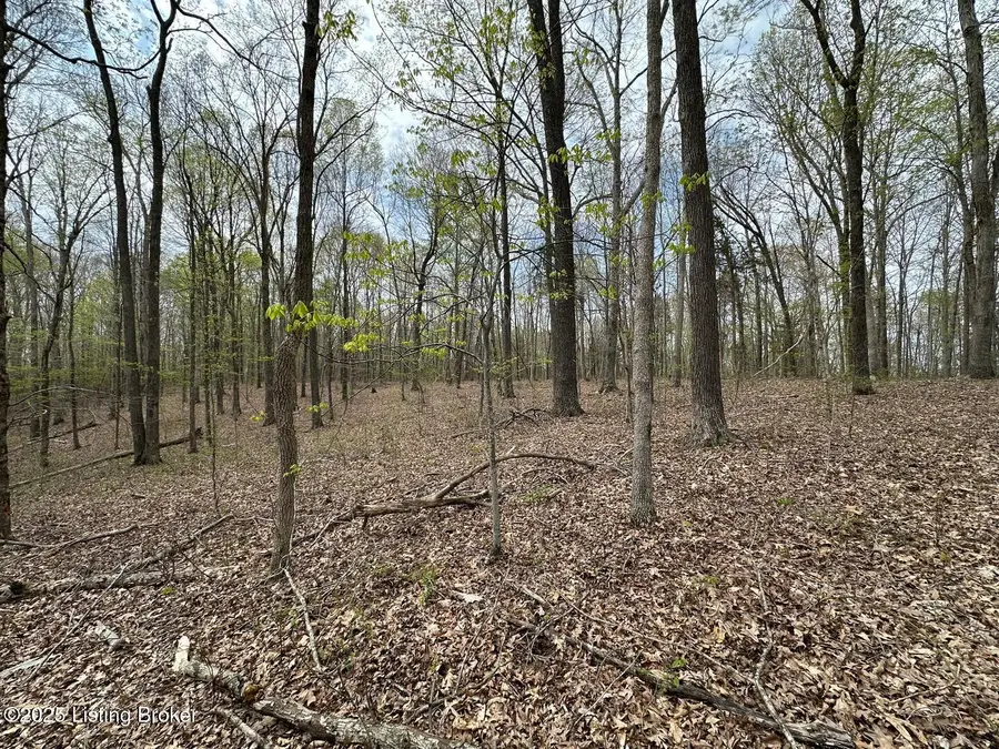 0 Vic Young Rd, Olaton, KY 42361 - #2