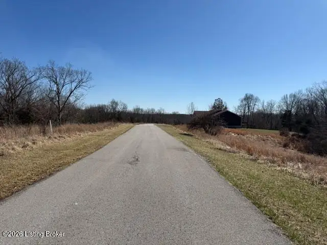 7 Landings Ct, Willisburg, KY 40078 - #3