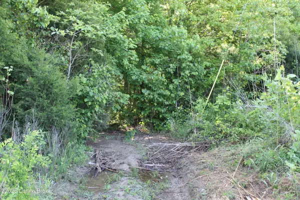 0 Ditney Hill Rd, Drakesboro, KY 42337