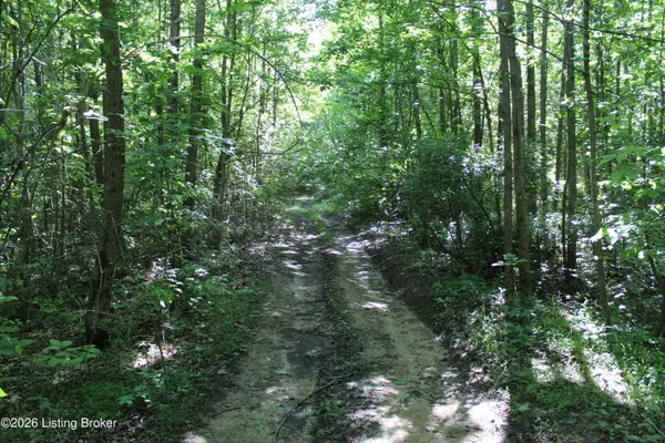 1 Ditney Hill Rd, Drakesboro, KY 42337