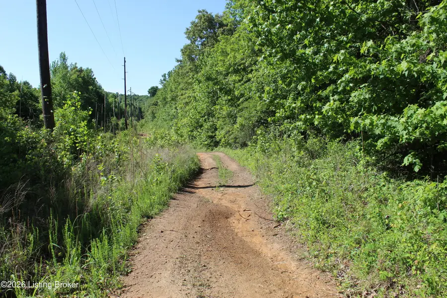 1 Ditney Hill Rd, Drakesboro, KY 42337 - #2