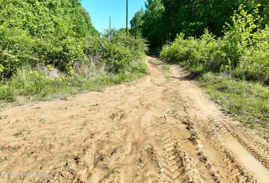 1 Ditney Hill Rd, Drakesboro, KY 42337 - #3
