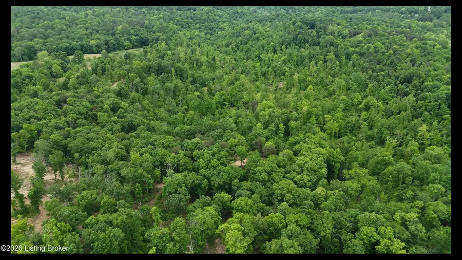 89 AC Cub Run Rd, Cub Run, KY 42729 - #2
