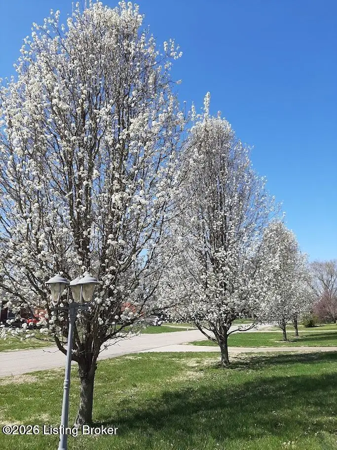 6703 Barbrook Rd, Louisville, KY 40258 - #3