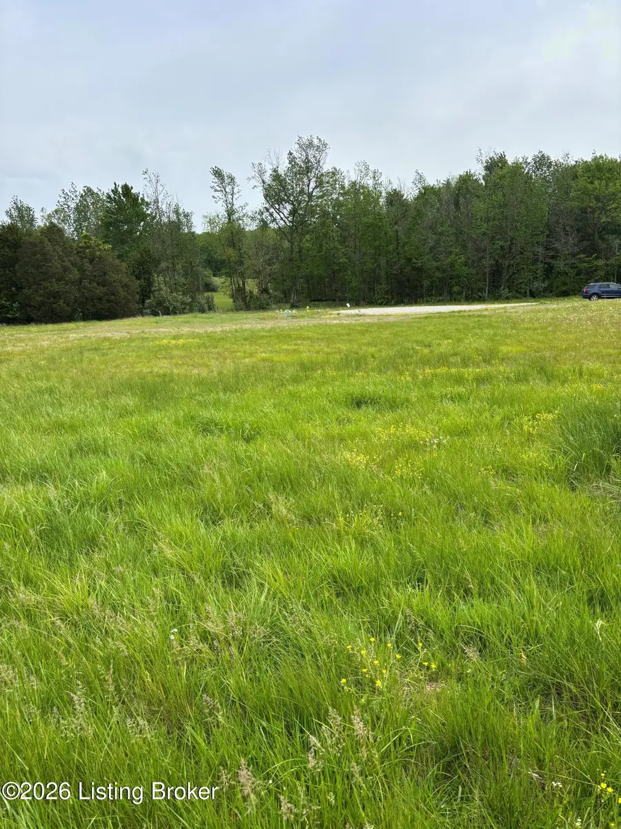 127 Kidd Ct, Lebanon Junction, KY 40150 - #3