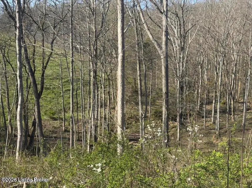 2 & 4 Cemetery Hill (combined) Rd, Bethlehem, KY 40007 - #3