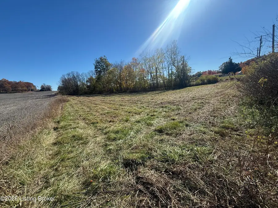 Lot #4 Highway 60 #Lot 4, Vine Grove, KY 40175 - #3