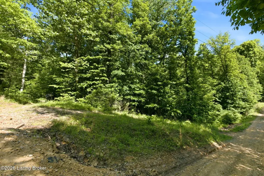 2 Ambassador Shores Dr, Leitchfield, KY 42754 - #3