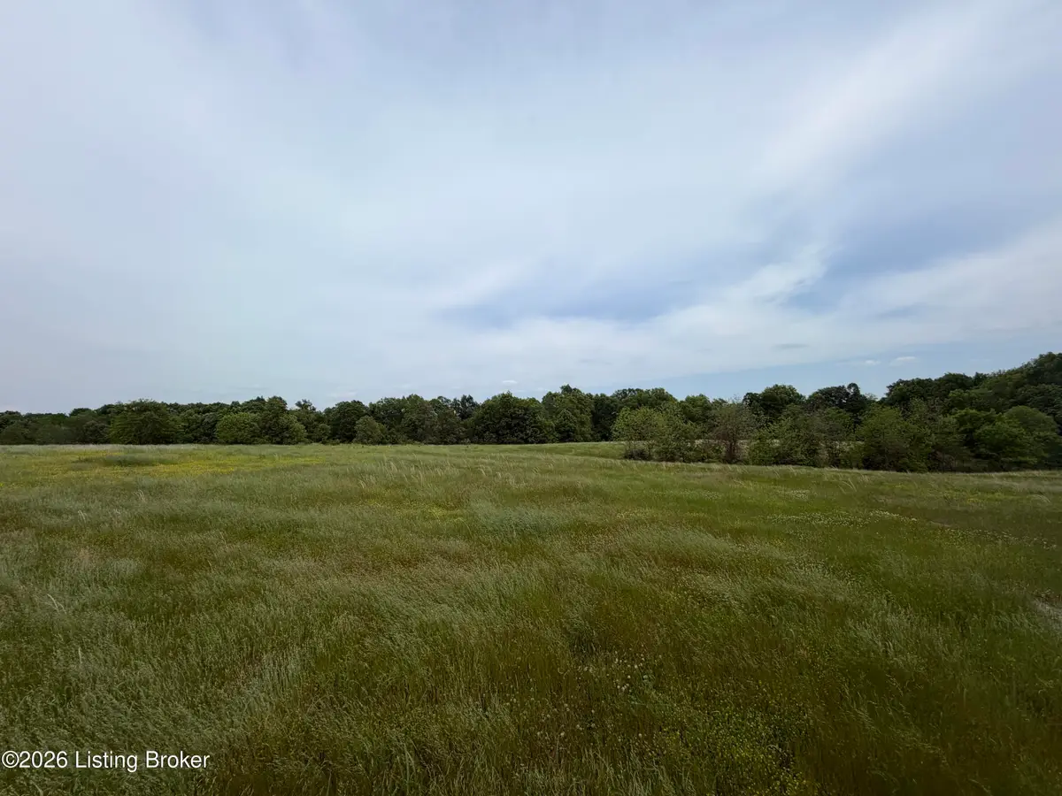 Lot 112D&F Old Sligo Rd, La Grange, KY 40031 - #1