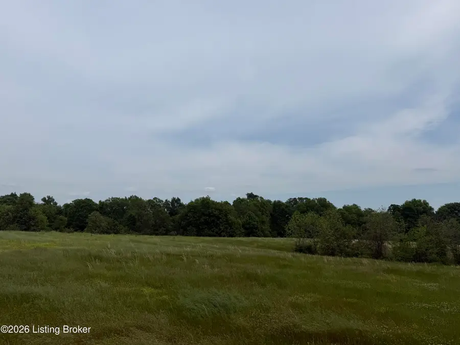 Lot 112D&F Old Sligo Rd, La Grange, KY 40031 - #3