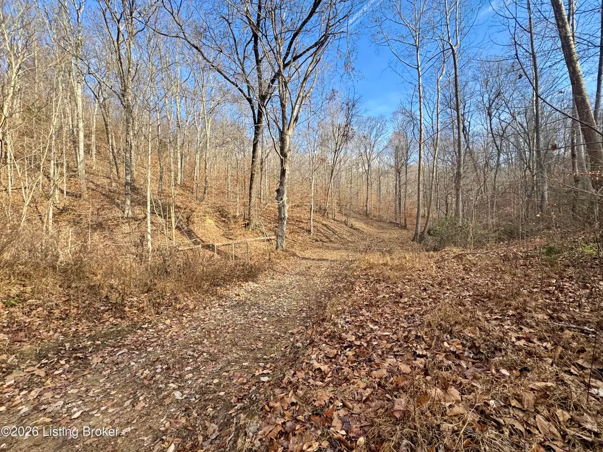 9-10 Winding Hollow Ln, Lebanon Junction, KY 40150 - #1