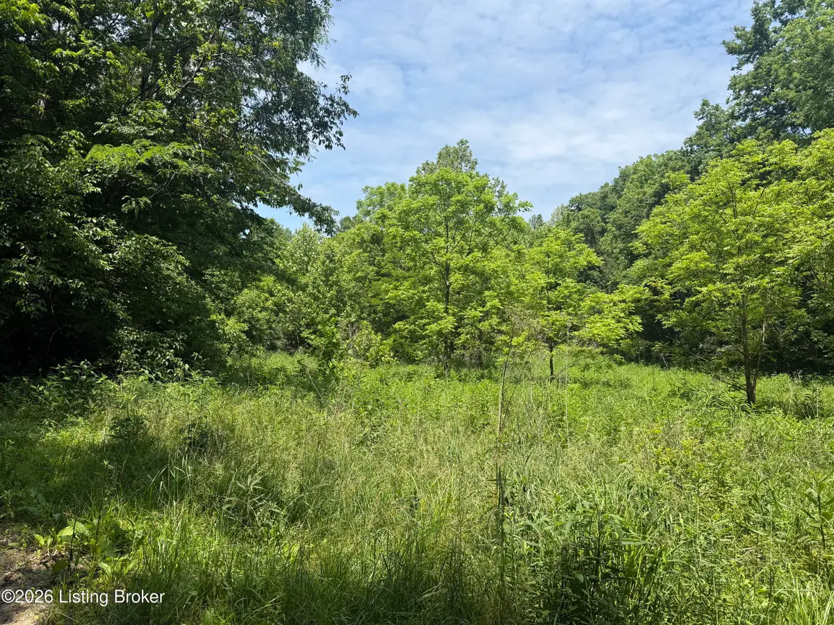 0 Edgar Basham Rd, Irvington, KY 40146 - #1