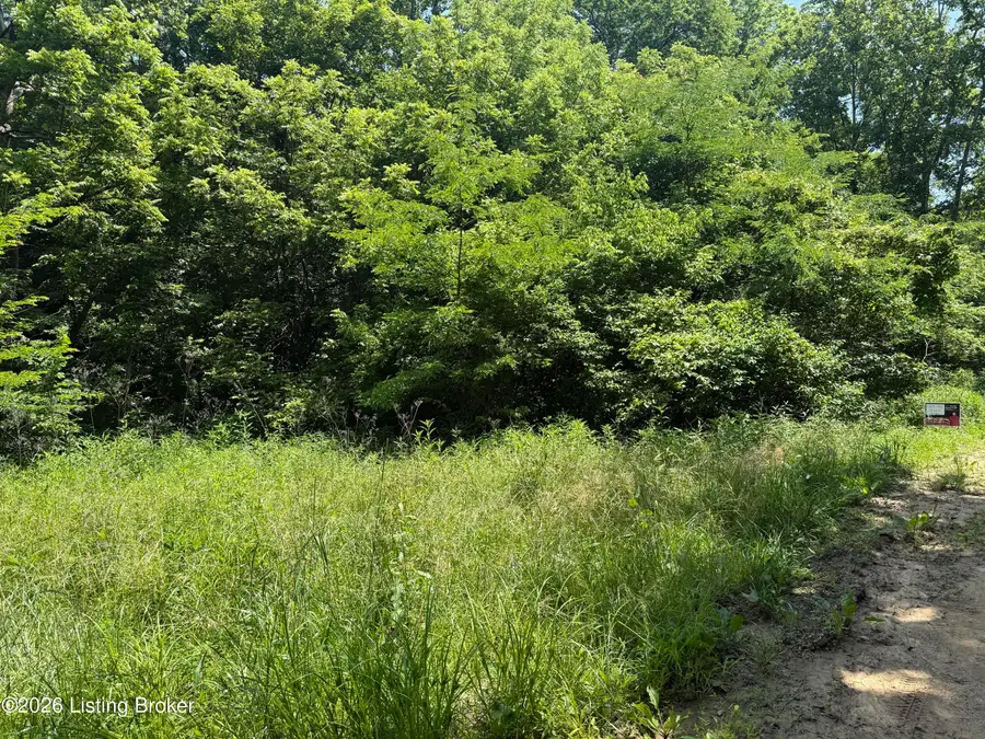 0 Edgar Basham Rd, Irvington, KY 40146 - #3