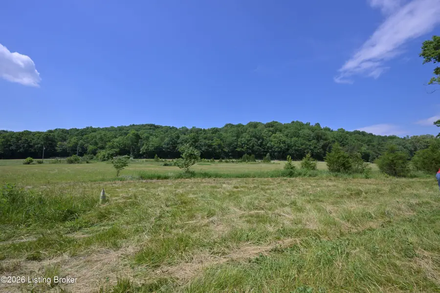 1793 Barebone Rd, Bedford, KY 40006 - #3