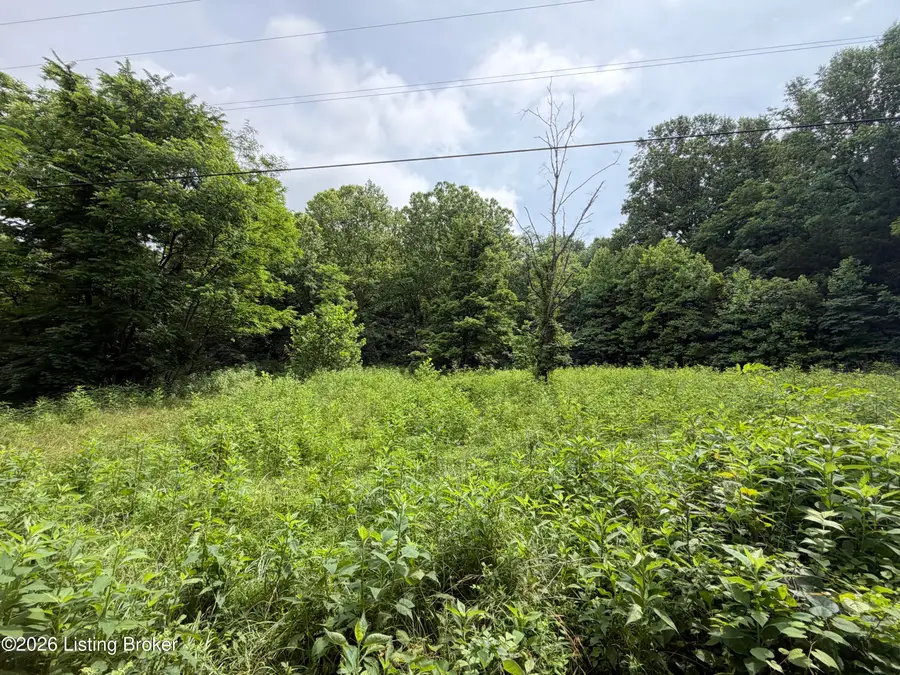 1580 Cedar Grove Rd, Coxs Creek, KY 40013 - #3