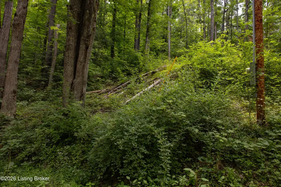 4 Black Bear Ridge Rd, Campton, KY 41301 - #3