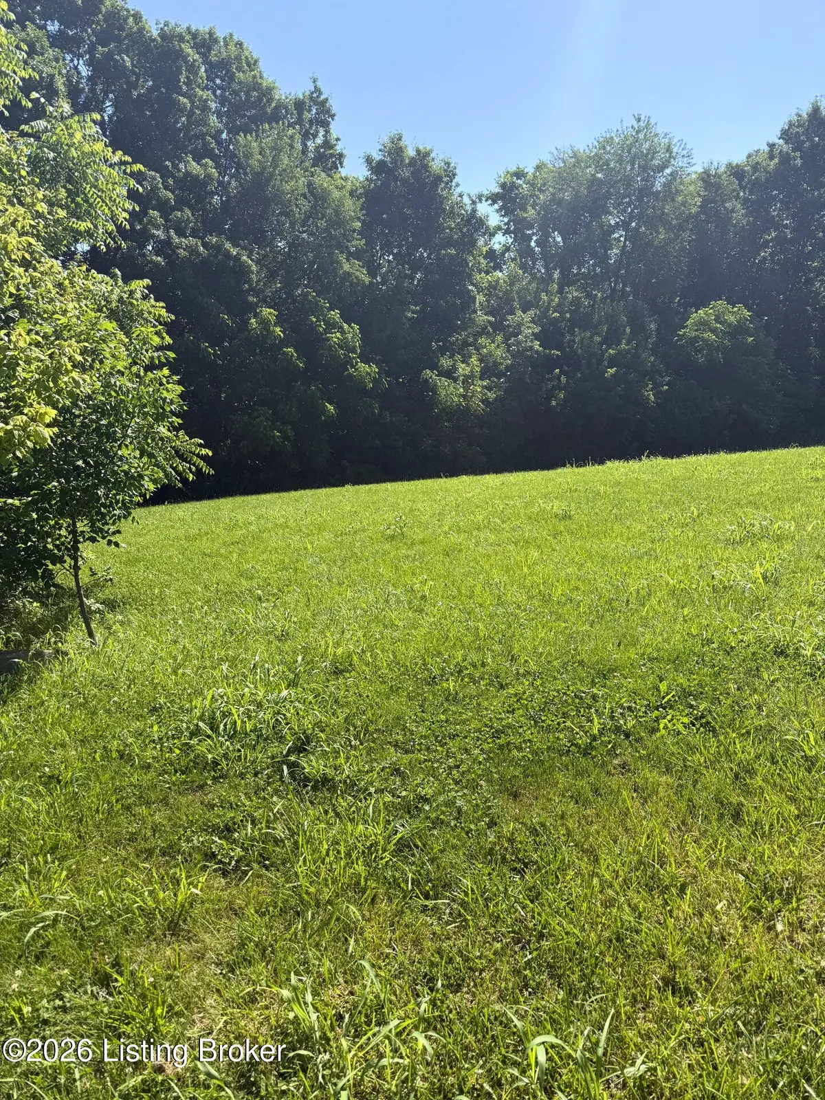 28 Chelsey Park Dr, Fisherville, KY 40023 - #1