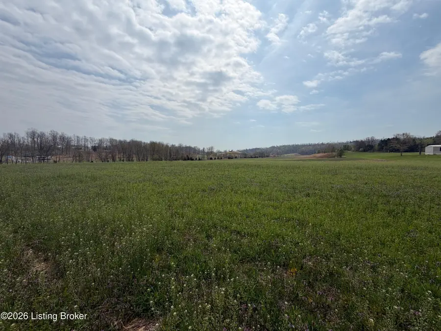 0 State Route 176 Buck Knob Lane #Lot 1, Greenville, KY 42345 - #3