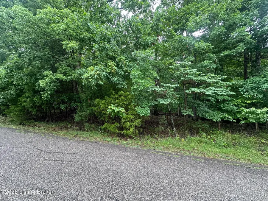 Lot 40 Red Wing Rd, Doe Valley, KY 40108 - #2