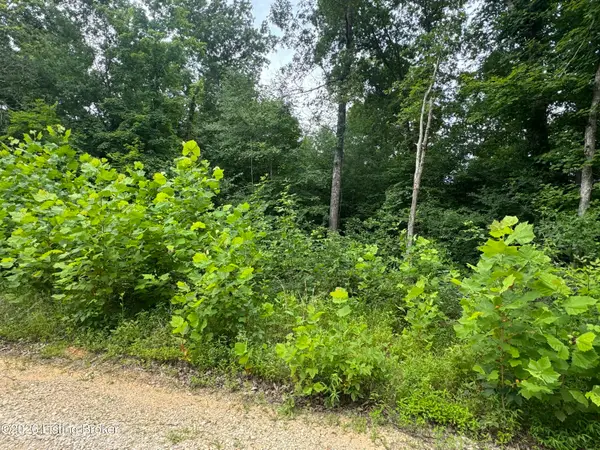 0 Ted Logsdon Rd, Clarkson, KY 42726