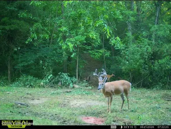 975 Long Run Rd, Springfield, KY 40069