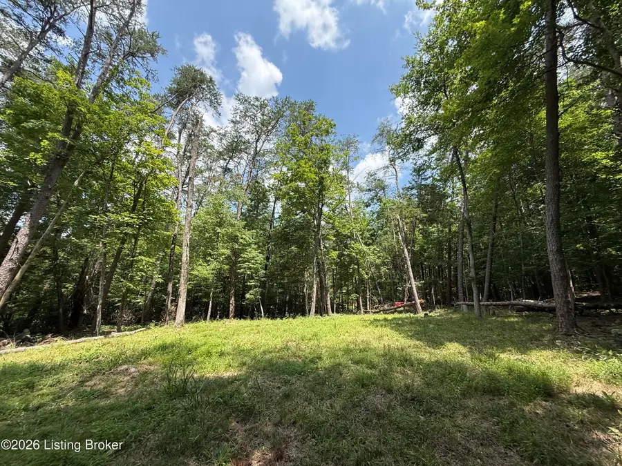 49 Pine Hurst Bay, Clarkson, KY 42726 - #2