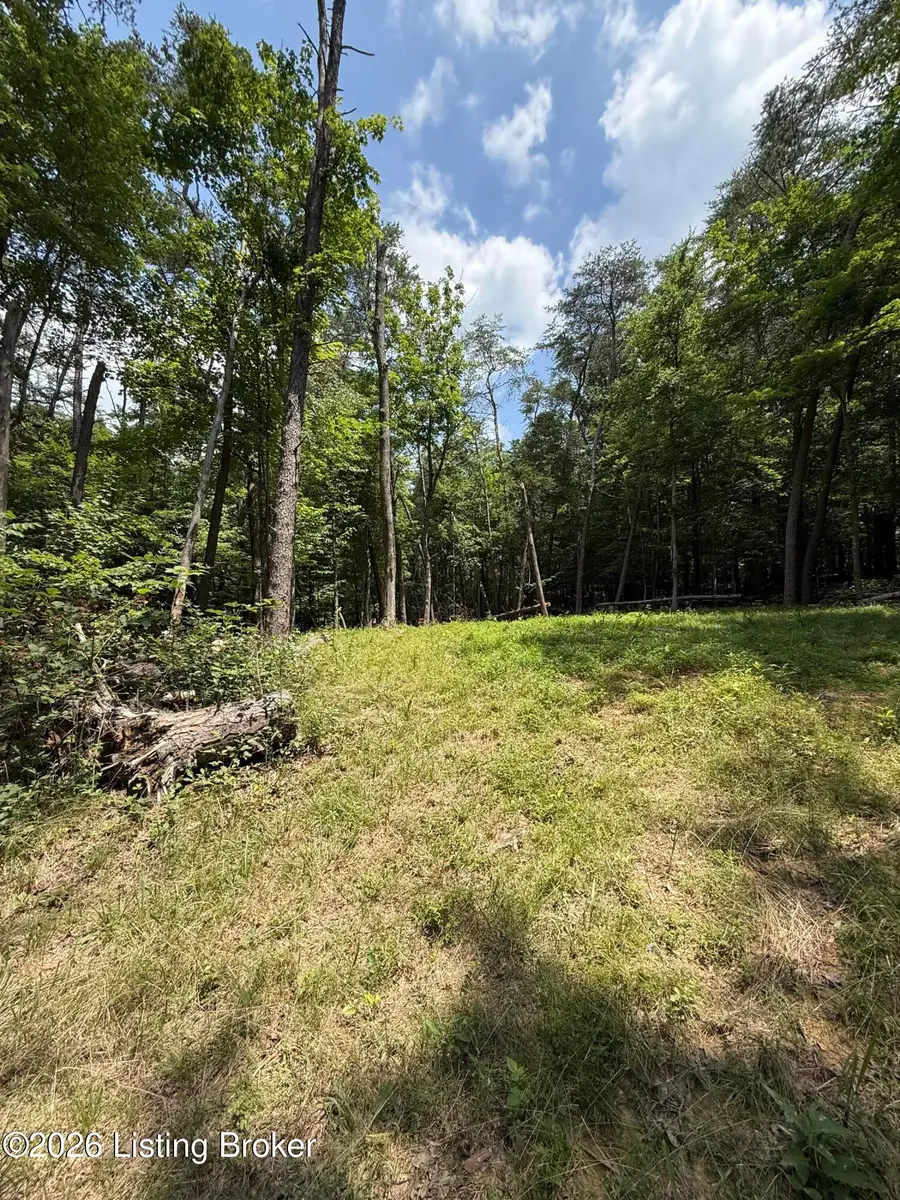 49 Pine Hurst Bay, Clarkson, KY 42726 - #3