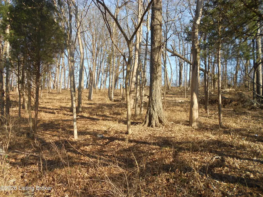 195 Sunset Dr, Bardstown, KY 40004 - #2