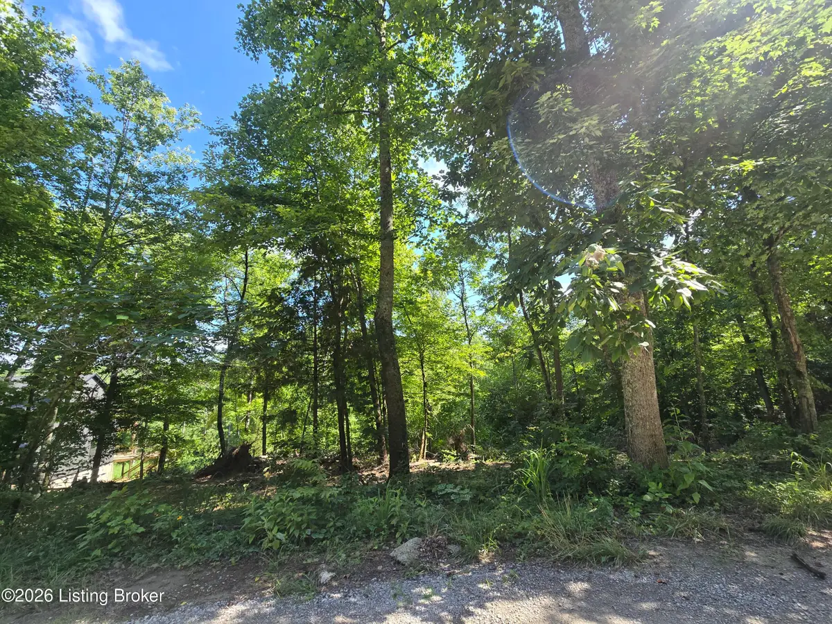 1007 Hunting Ground Rd, Leitchfield, KY 42754 - #1