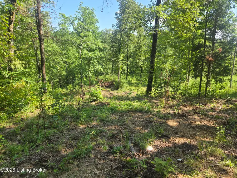 1057 Hunting Ground Rd, Leitchfield, KY 42754 - #2