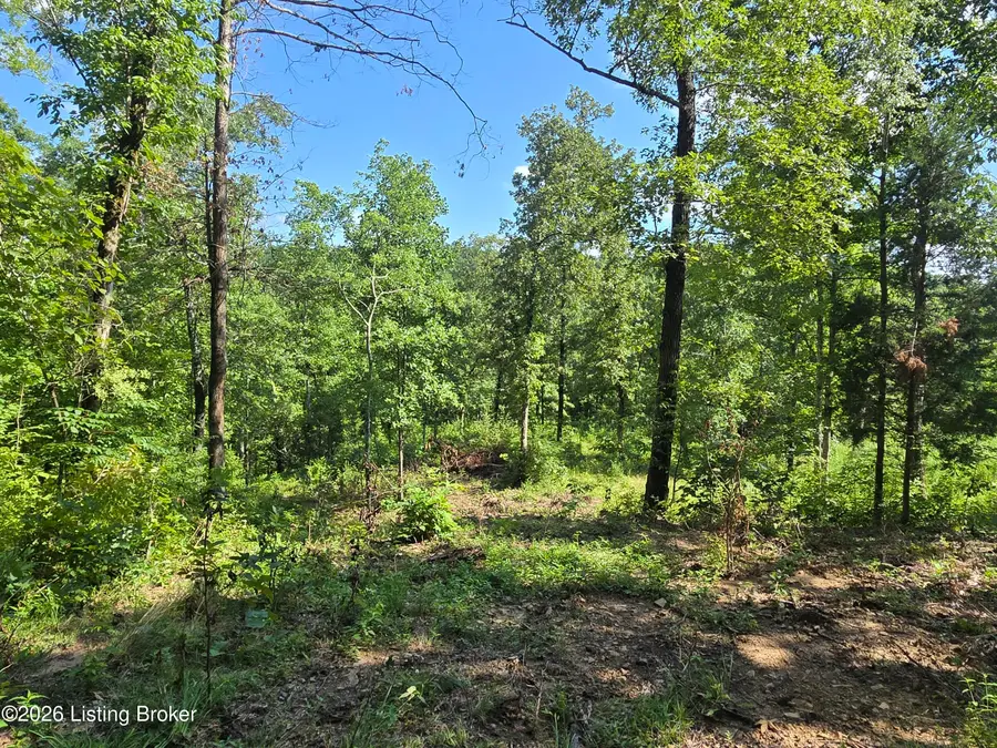 1057 Hunting Ground Rd, Leitchfield, KY 42754 - #3