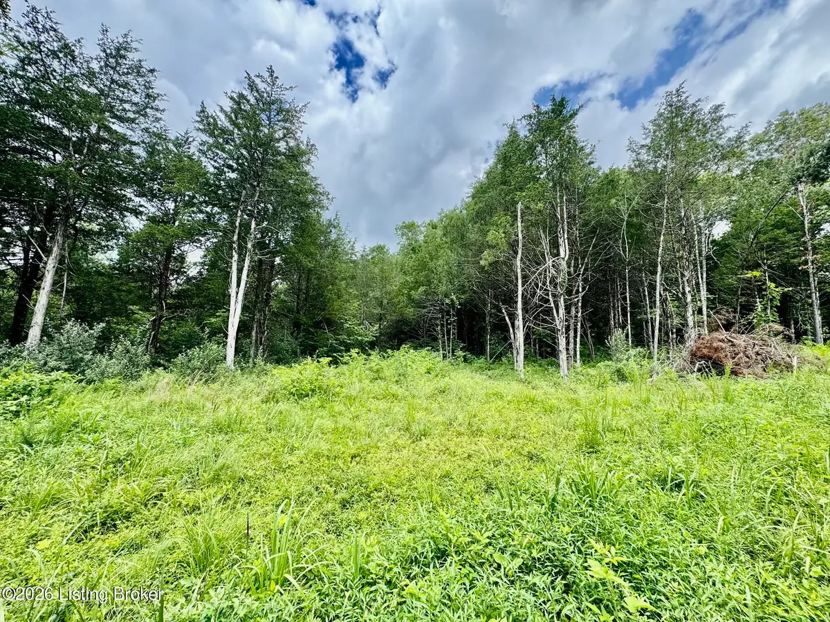 9501-5B Hwy 555, Willisburg, KY 40078 - #1