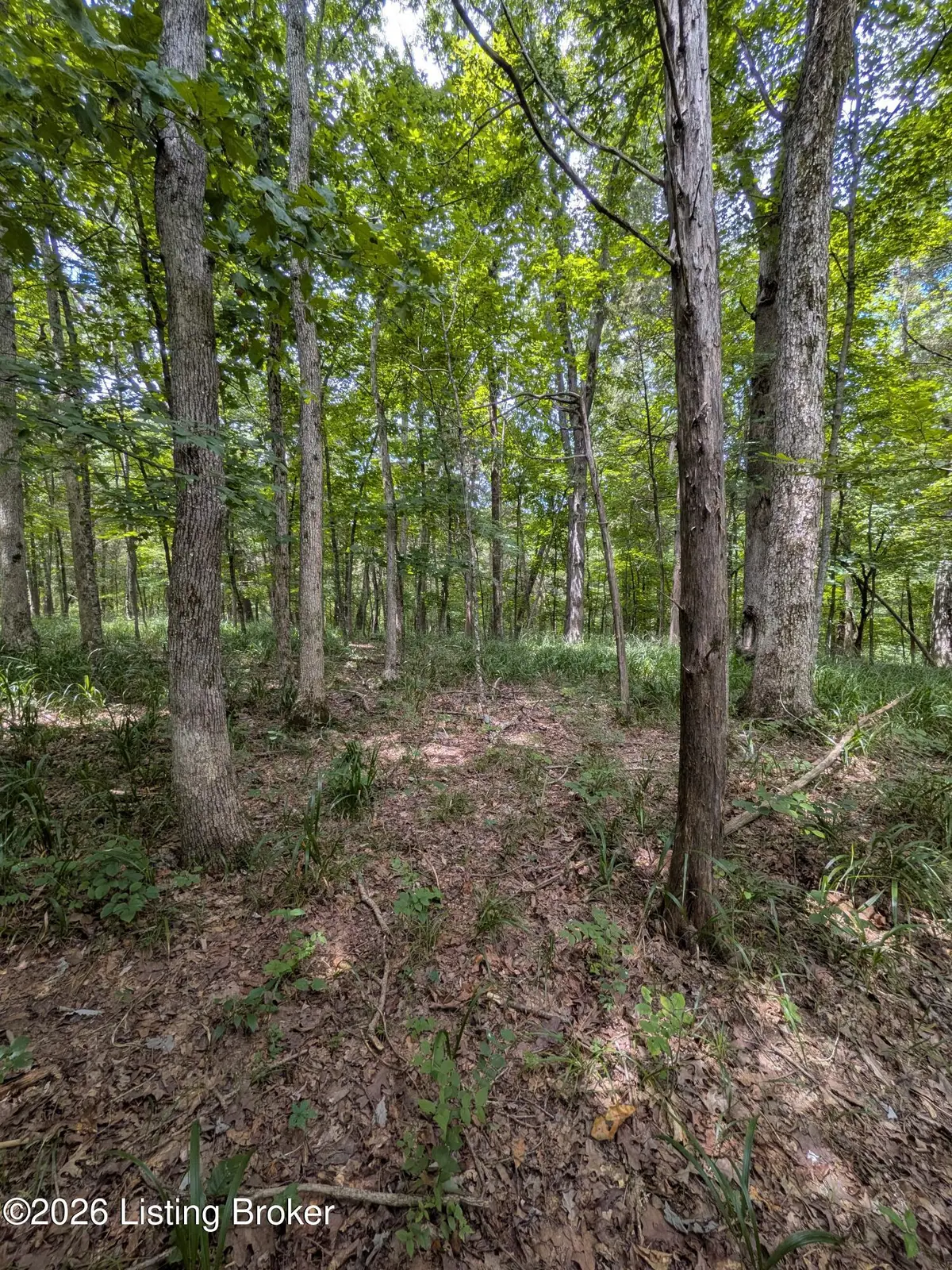 0 Valley Ln, Shepherdsville, KY 40165 - #1