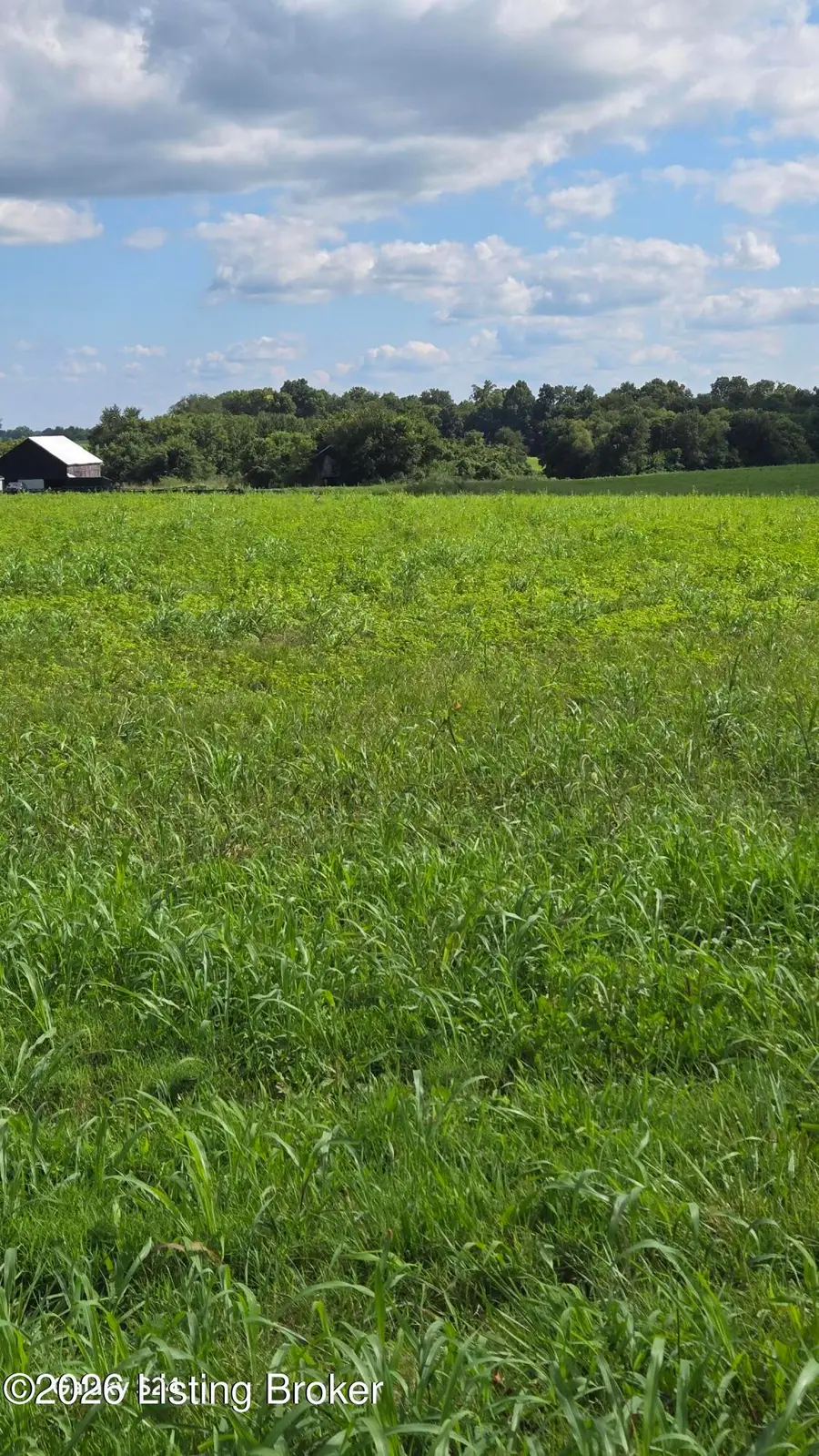 Tract 4 Bagdad Rd, Bagdad, KY 40003 - #2